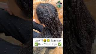 🤮Lice Removal Tips Naturally At home Hair wash Tips 💯 shorts liceremove haircare [upl. by Gayle]