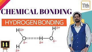 Chemical Bonding । Class 11 L 14 । Hydrogen bonding [upl. by Lipson]