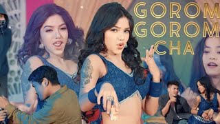 GOROM GOROM CHA  Kokborok New Release Song  Latest Kokborok Song 2024 [upl. by Emie]