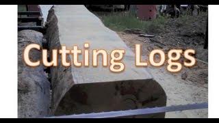 Cutting Log Into Flitch [upl. by Theadora]