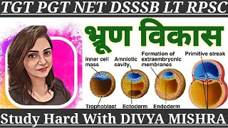 भ्रूण का विकास  Development of Amnion Chorion Chorionic villi TGT PGT LT CLASSES BY divyamishra [upl. by Denney937]