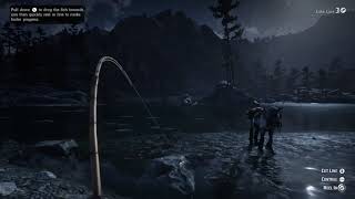 RDR2  Catching a muskie [upl. by Linden]