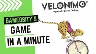 Game in a Minute Velonimo [upl. by Stillman427]