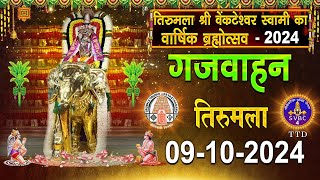 Gaja Vahanam  Srivari Annual Brahmotsavams  Tirumala  09102024  SVBC4Hindi Channel [upl. by Jahdol604]