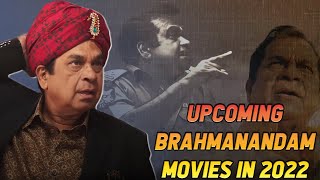 Brahmanandam Sir All Upcoming Movies In 2022 😍 [upl. by Micco306]