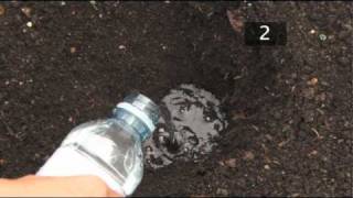 How To Test Soil PH [upl. by Annahc]