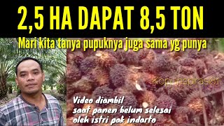 Panen Sawit cantik 25 ha dapat 85 tonkopiinspirasi8193 [upl. by Sidky]