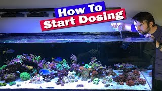 How to Start Dosing Your Reef tank [upl. by Lucila]