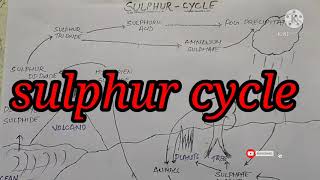 sulphur cycle explantation with diagram easy way to understand biogeochemical cycle [upl. by Aileek445]