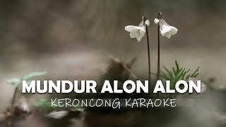 MUNDUR ALON ALON  KARAOKE KERONCONG ILUX [upl. by Alleirbag]