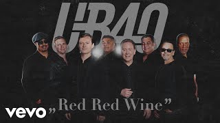 UB40  Red Red Wine Visualizer [upl. by Ileane]