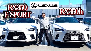 レクサスRX350 F SPORT amp RX350hを運転してきたぞ！ [upl. by Adnilam]