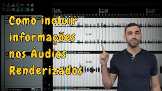 Como incluir informações nos áudios renderizados [upl. by Rebmeced]