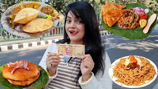 Living on Rs 200 for 24 HOURS Challenge  Dehradun Food Challenge [upl. by Sherr993]