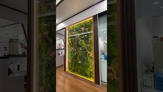 Moss Wall Art Installation ☘️ mosswall art [upl. by Toinette]