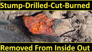 Stump Removal  DrilledCutBurned [upl. by Newmark323]