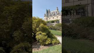 100 years old laceleaf Japanese maples planted at the Biltmore House by Frederick Olmsted [upl. by Horatia710]