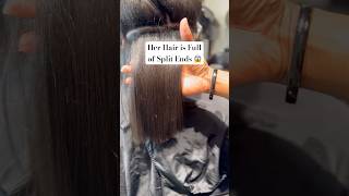 Is it REALLY Split Ends  Split Ends vs New Growth [upl. by Hebrew]