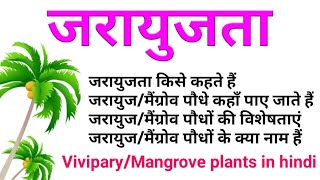 vivipary in plants  mangrove forest in hindi  mangroves  viviparous germination  जरायुजता hindi [upl. by Eneleh]