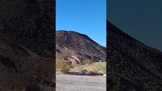 Vanuit Callville Bay naar Death Valley [upl. by Prestige]