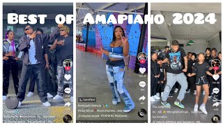 Best of Amapiano TikTok  2024 viral amapianodance amapiano [upl. by Yole140]