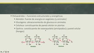 Biomoléculas orgánicas [upl. by Tamarra]