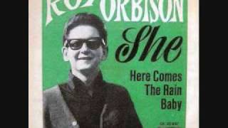 Roy Orbison  She 1967 [upl. by Nosreffej]