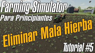 Eliminar Mala Hierba  Farming Simulator 22 Para principiantes  Tutorial 5 [upl. by Yrokcaz]