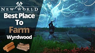 Best Place To Farm WyrdWood In New World [upl. by Ailema788]