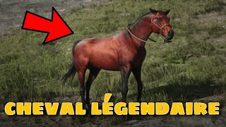 JOBTIENS UN CHEVAL ULTRA RARE  Red Dead Rédemption 2 [upl. by Ennahtebazile]