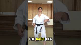 Karate for beginners 76  Kick Kizami Maegeri karate martialarts [upl. by Enyad]