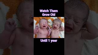 Cute Twin Newborn Babies timelapse until one Year [upl. by Esenaj]