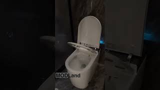 Modern Bidet Toilet [upl. by Nekciv571]