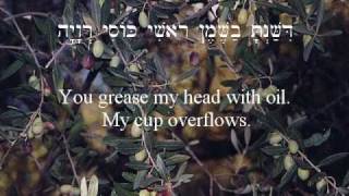 Psalm 23 YAHVEH is my Shepherd vocals by Yakov [upl. by Verile]