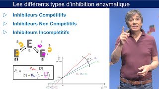 Topoisomerase Inhibitors Part 2 [upl. by Aneliram321]