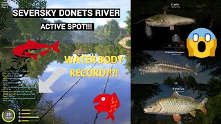 active spot on seversky donets river russian fishing 4 [upl. by Tedder722]