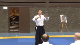 Aikibudo Jishindo Aikidofestijn 2018 [upl. by Efram]