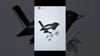 Wagtail Bird 🐦🐦🐦 drawing reels shorts [upl. by Kariv437]