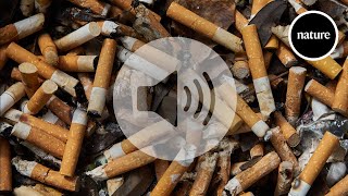 Smoking changes your immune system even years after quitting [upl. by Anerbes]