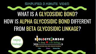 What is a Glycosidic bond Difference between alpha and beta Glycosidic linkage [upl. by Bronez]