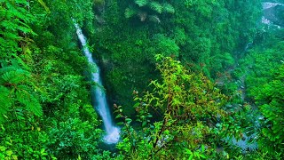 Forest waterfall sounds mountain Stream Relaxing river sounds relaxing nature relaxing water [upl. by Guillema354]