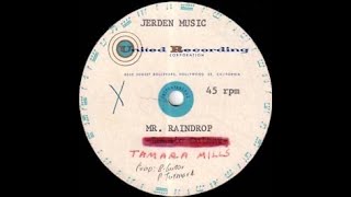 Tamara Mills  Mr Raindrop [upl. by Danyluk]