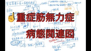 重症筋無力症の病態関連図 [upl. by Ytima287]