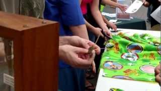 Bailey House Museum  How to Make a Lauhala Star and Fish [upl. by Boy]