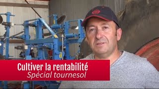 Limplantation et le désherbage du tournesol  Reportage quotCultiver la rentabilitéquot [upl. by Crystal84]