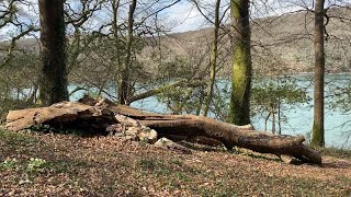 Fishing The Helford River  Targeting Gilthead Bream amp Flounder [upl. by Hay]