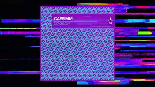 CASSIMM  Downlow Extended Mix [upl. by Downall]