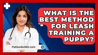 What Is the Best Method for Leash Training a Puppy  PetGuide360com [upl. by Leasim549]