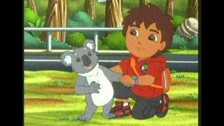 Go Diego Go  Abrazo de Koala [upl. by Aubrie650]