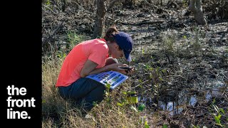 Caring for our waterways to help the Great Barrier Reef [upl. by Franchot]